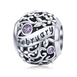 925 Sterling Silver Diy Birthstone Bracelet & Necklace Set February Style - February